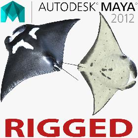 Manta Ray Rigged for Maya